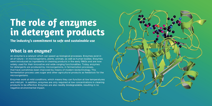 enzyme factsheet cover