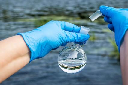 Taking a water sample